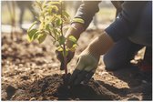 Poster Glanzend – Tuinieren - Planten - Zand - Handcshoenen - 90x60 cm Foto op Posterpapier met Glanzende Afwerking