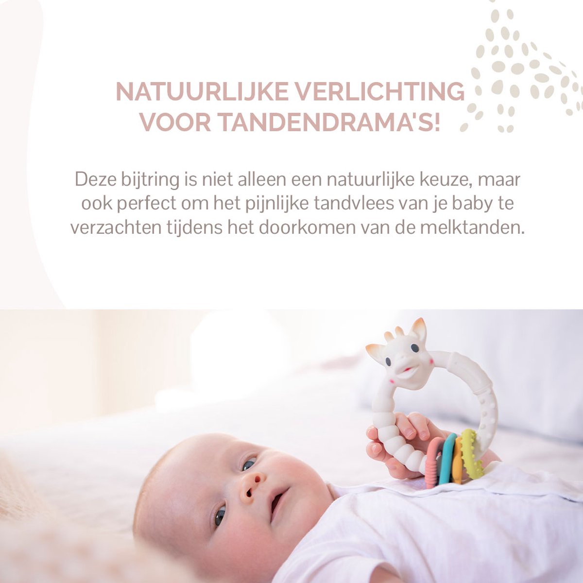 Sophie de giraf Colo'rings - Bijtring - Babyspeelgoed - Kraamcadeau - Babyshower cadeau - 100% natuurlijk rubber - In gerecyled geschenkdoosje met organic katoenen strikje - Vanaf 0 maanden — cadeau in Spellen & Speelgoed - foto 7
