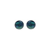 Behave Oorbellen - oorstekers - abalone schelp - groen - blauw - 1.5 cm