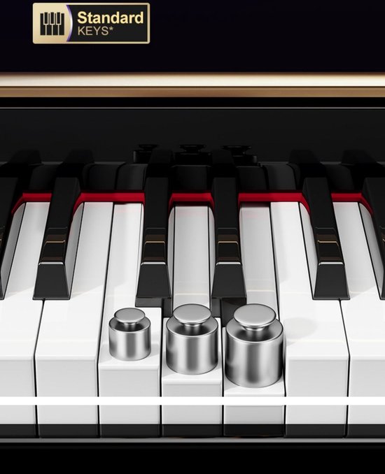 Piano à 88 touches, Instruments de musique professionnels