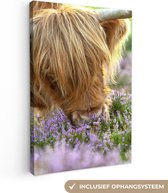 Peinture sur toile Highlander écossais - Herbe - Bruyère - Animaux - 90x140 cm - Décoration murale