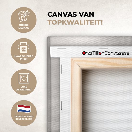 Tableau sur toile Lionne - Lionceau - Zwart - 60x90 cm - Décoration murale