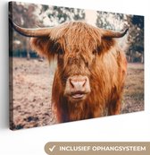 Peinture sur toile - Highlander - Animaux - Vache - Peintures salon - Décoration de chambre - Toile - 60x40 cm