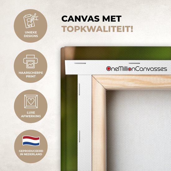 Tableau Tableau Martin-pêcheur - Poisson - Arbre - 120x80 cm - Décoration murale