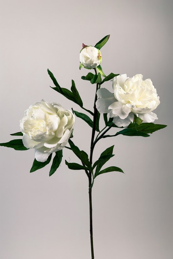 Zijden kunstbloem Pioenroos | Wit | Lengte 73 centimeter
