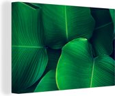 Canvas Schilderij Planten - Tropisch - Groen - 60x40 cm - Wanddecoratie