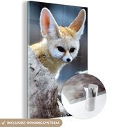 MuchoWow® Glasschilderij 120x180 cm - Schilderij acrylglas - Dieren - Vos - Boomstam - Foto op glas - Schilderijen