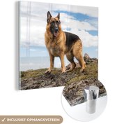 MuchoWow® Glasschilderij 20x20 cm - Schilderij acrylglas - Duitse herdershond op een berg - Foto op glas - Schilderijen