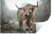 Stickers muraux - Feuille autocollante - Highlander écossais - Forêt - Brume - Vache - Animaux - Nature - 60x40 cm - Film adhésif - Stickers muraux chambre d'enfant - Papier peint autocollant - Papier peint autocollant - Feuille autocollante
