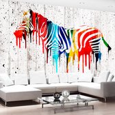 Fotobehangkoning - Behang - Vliesbehang - Fotobehang - Zebra Schildering - Kunst - 100 x 70 cm