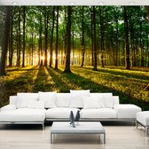 Fotobehangkoning - Behang - Vliesbehang - Fotobehang - Mystical Morning - Zonsopkomst in het Bos - Zonnestralen - Bomen - Zon - 150 x 105 cm