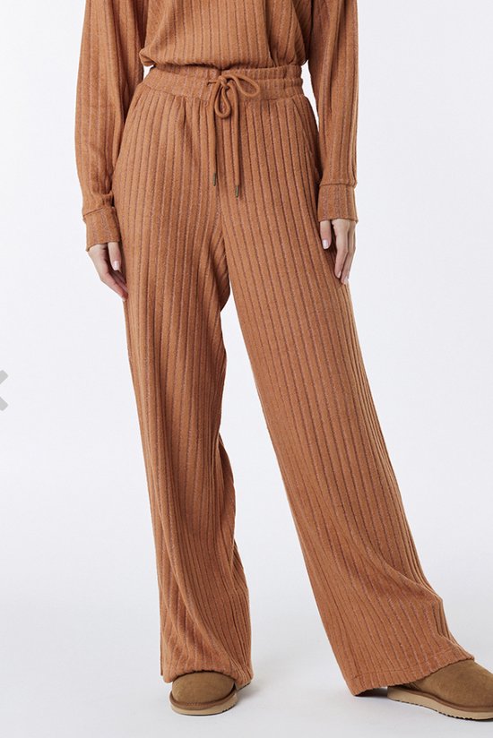 Chiku Brown Viscose Rayon Blend Pant Straight