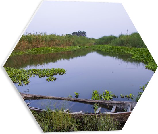 PVC Schuimplaat Hexagon - Water - Boot - Hout - Gras - Planten - 40x34.8 cm Foto op Hexagon (Met Ophangsysteem)