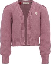 LOOXS Little 2401-7303-586 Meisjes Sweater/Vest - Maat 128 - Paars van 60% cotton 40% polyester