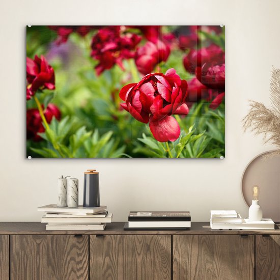 MuchoWow® Peinture sur verre 60x40 cm - Peinture sur verre acrylique - Un jardin rempli de pivoines rouges - Photo sur verre - Peintures