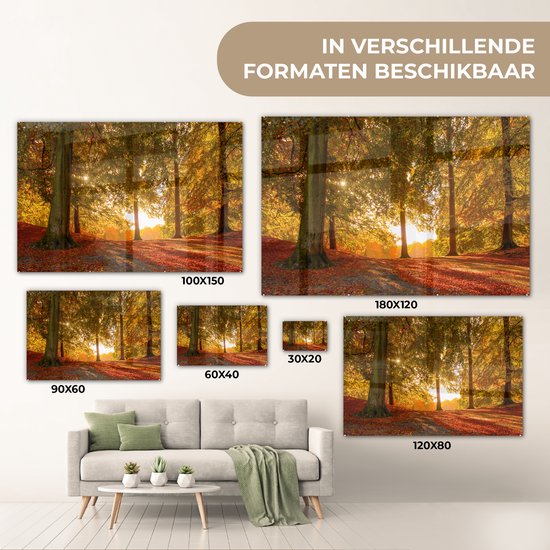 MuchoWow® Glasschilderij 120x80 cm - Schilderij acrylglas - Herfst - Zon - Bos - Foto op glas - Schilderijen