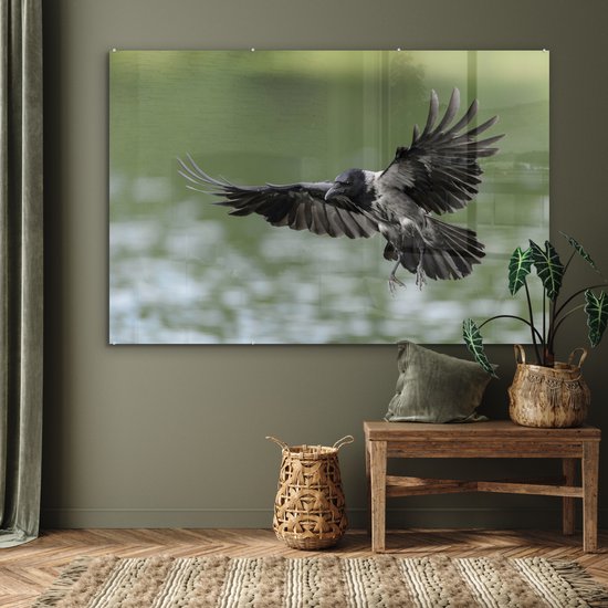 Ailes déployées du corbeau à capuchon Plexiglas 180x120 cm - Tirage photo sur Glas (décoration murale plexiglas) XXL / Groot format!