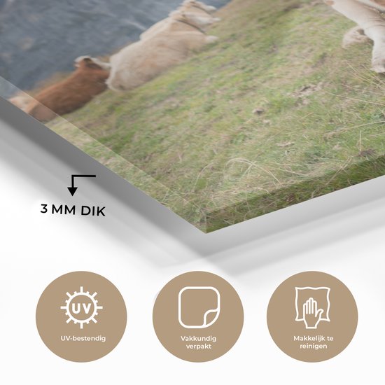 MuchoWow® Peinture sur verre 30x20 cm - Peinture acrylique sur verre - Vaches - Prairie - Alpes - Photo sur verre - Peintures