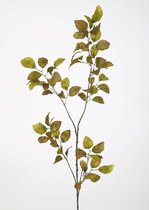 Flora Arte - Kunsttak - Beukentak - Kunstplanten - Groen Bruin - 155 cm