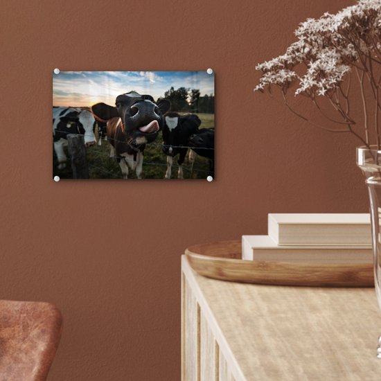 MuchoWow® Peinture sur verre 30x20 cm - Peinture sur verre acrylique - Vache - Animal - Gros plan - Photo sur verre - Peintures