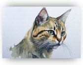 Kat schilderij - Dieren schilderij - Schilderij kat - Katten - Aquarel schilderij kat - Schilderij op canvas - 60 x 40 cm 18mm