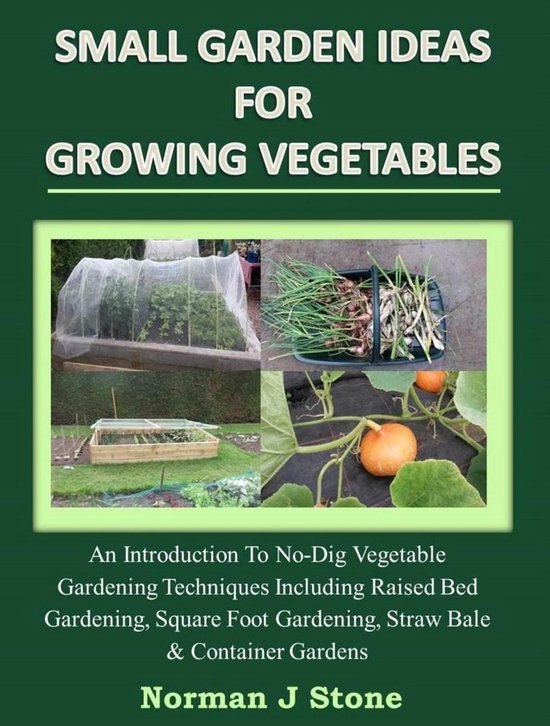 Small Garden Ideas For Growing Vegetables - cover