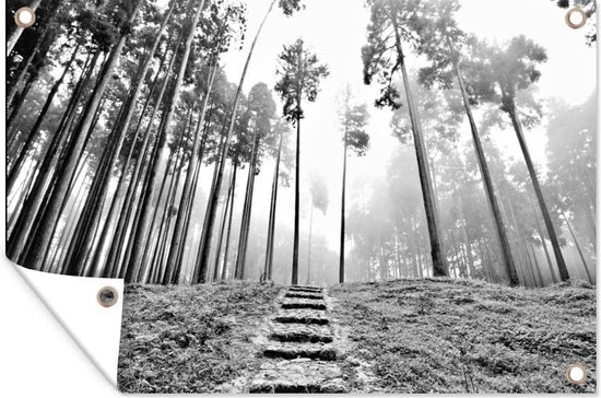 Affiche de jardin photo Zwart et blanc d'un escalier entre les arbres dans la brume 120x80 cm - Toile de jardin / Toile d'extérieur / Peintures d'extérieur (décoration de jardin)