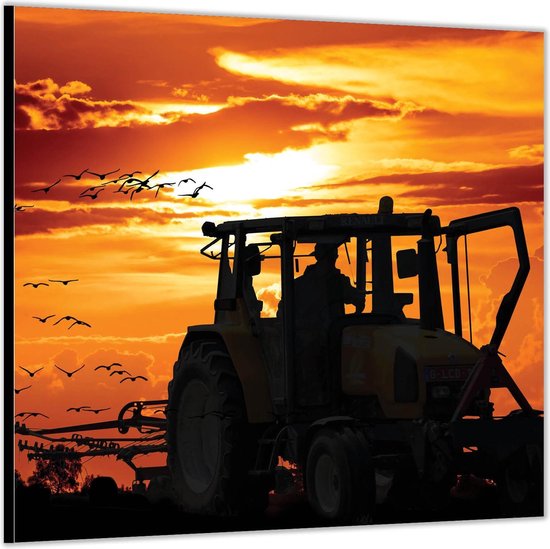 Dibond -Boer op Tractor met Vogels en Zon- Foto op Aluminium (Met ophang)