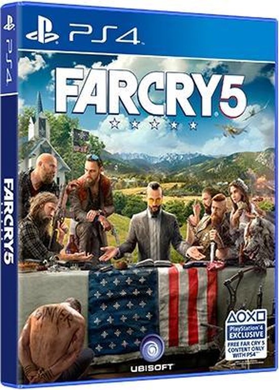 Ubisoft Far Cry 5 PlayStation 4 Basis