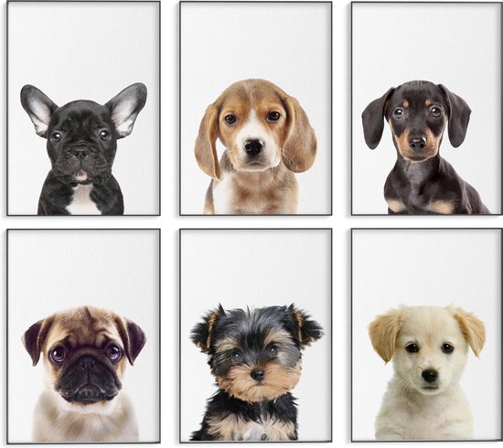 Babykamer/kinderkamer dieren posters - 6 stuks - 21x30 cm - Honden puppies