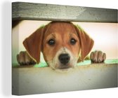 Puppy regarde à travers une cage Toile 120x80 cm - Tirage photo sur toile (Décoration murale salon / chambre) / Peintures sur toile pour Animaux domestiques