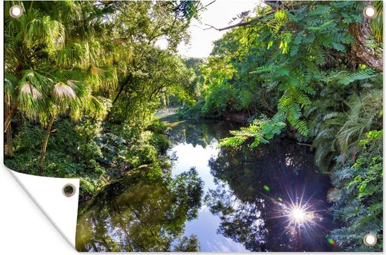 Une rivière dans le parc national nord-américain Everglades Garden poster 60x40 cm - petit - Toile de jardin / Toile d'extérieur / Peintures pour l'extérieur (décoration de jardin)