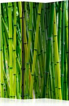 Kamerscherm - Scheidingswand - Vouwscherm - Bamboo Forest [Room Dividers] 135x172 - Artgeist Vouwscherm