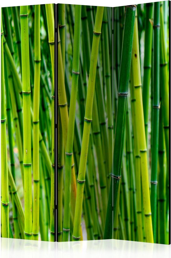 Foto: Kamerscherm scheidingswand vouwscherm bamboo forest room dividers 135x172 artgeist vouwscherm