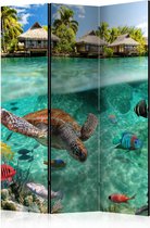 Kamerscherm - Scheidingswand - Vouwscherm - Under the surface of water [Room Dividers] 135x172 - Artgeist Vouwscherm