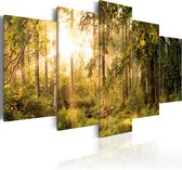 Schilderijen Op Canvas - Schilderij - Magic of Forest 100x50 - Artgeist Schilderij