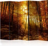 Kamerscherm - Scheidingswand - Vouwscherm - Autumn Illumination II [Room Dividers] 225x172 - Artgeist Vouwscherm