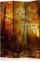 Kamerscherm - Scheidingswand - Vouwscherm - Autumn Illumination [Room Dividers] 135x172 - Artgeist Vouwscherm