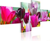 Schilderijen Op Canvas - Schilderij - Betovering van roze tulpen 100x45 - Artgeist Schilderij
