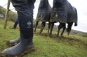 Een persoon draagt modderige zwarte Muck Boot Derwent II laarzen in een weiland met paarden op de achtergrond.