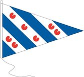 Puntvlag Friesland wimpel 30x45cm