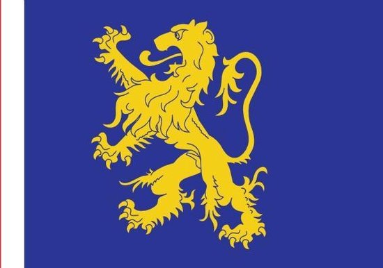 Vlag Leeuwarden 150x225cm