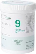 Schussler zout pfluger nr 9 Natrium Phosphoricum D6 1000 Tabletten Glutenvrij
