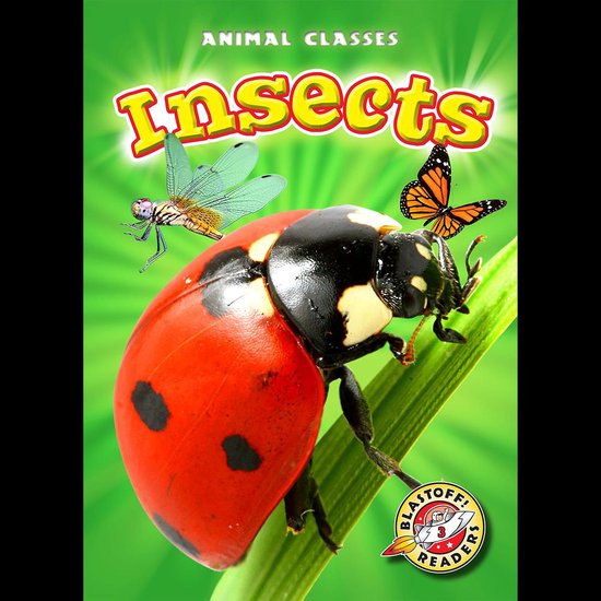 Insects - cover