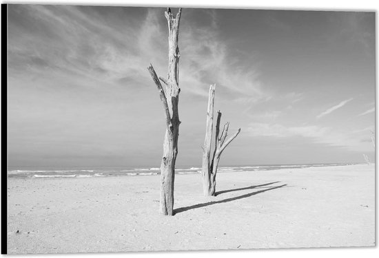 Dibond –Takken aan het Strand in het Zwart-wit– 90x60 Foto op Aluminium (Met Ophangsysteem)