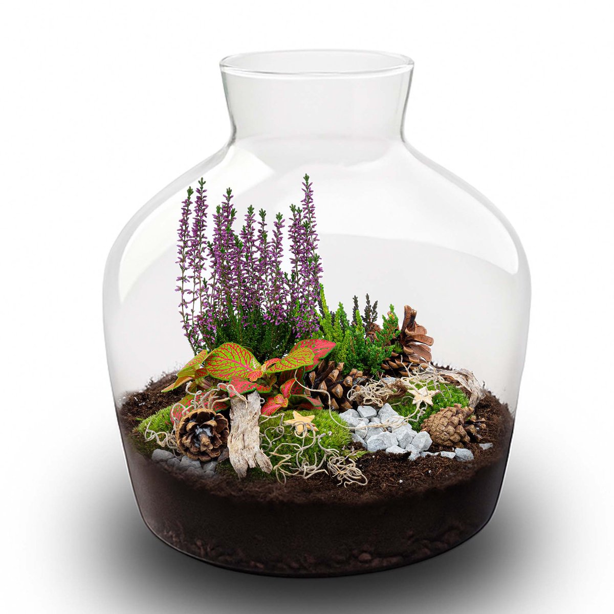 Mistle - Winter terrarium - Planten terrarium - Ø 29 cm ↑ 30