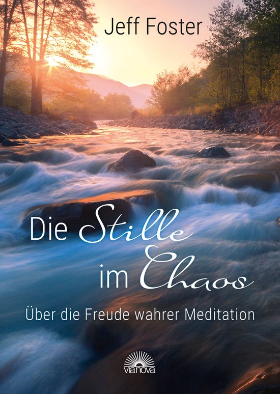 Die Stille im Chaos: Über die Freude wahrer Meditation - cover