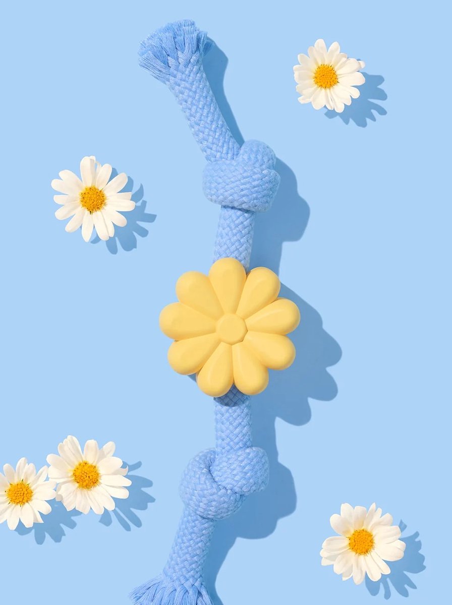 VETRESKA Playful Charm Daisy Knot Hondenspeeltje - Touw - Bloem