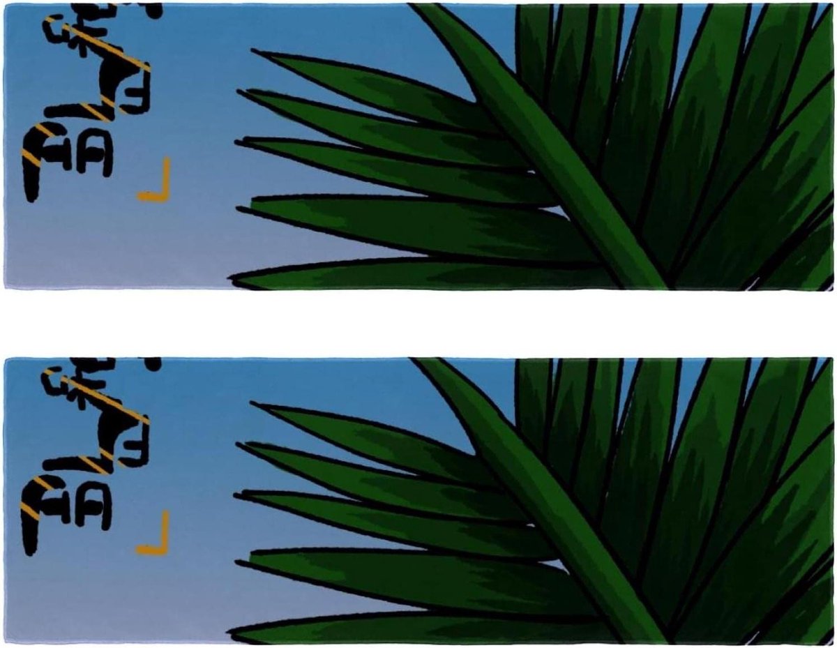 Sport Handdoek - Sneldrogende Reishanddoek - Zweet Absorberen - Huidvriendelijk Microvezel - 2 Packs 30x80cm - Veelkleurig