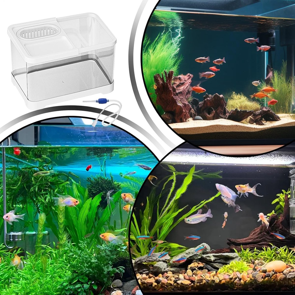 Aquarium Complete Set - Kleine Visbak thumbnail 4
